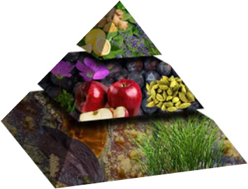 piramida zapachowa 3d